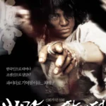 Baramui paiteo (2004) Movie Poster