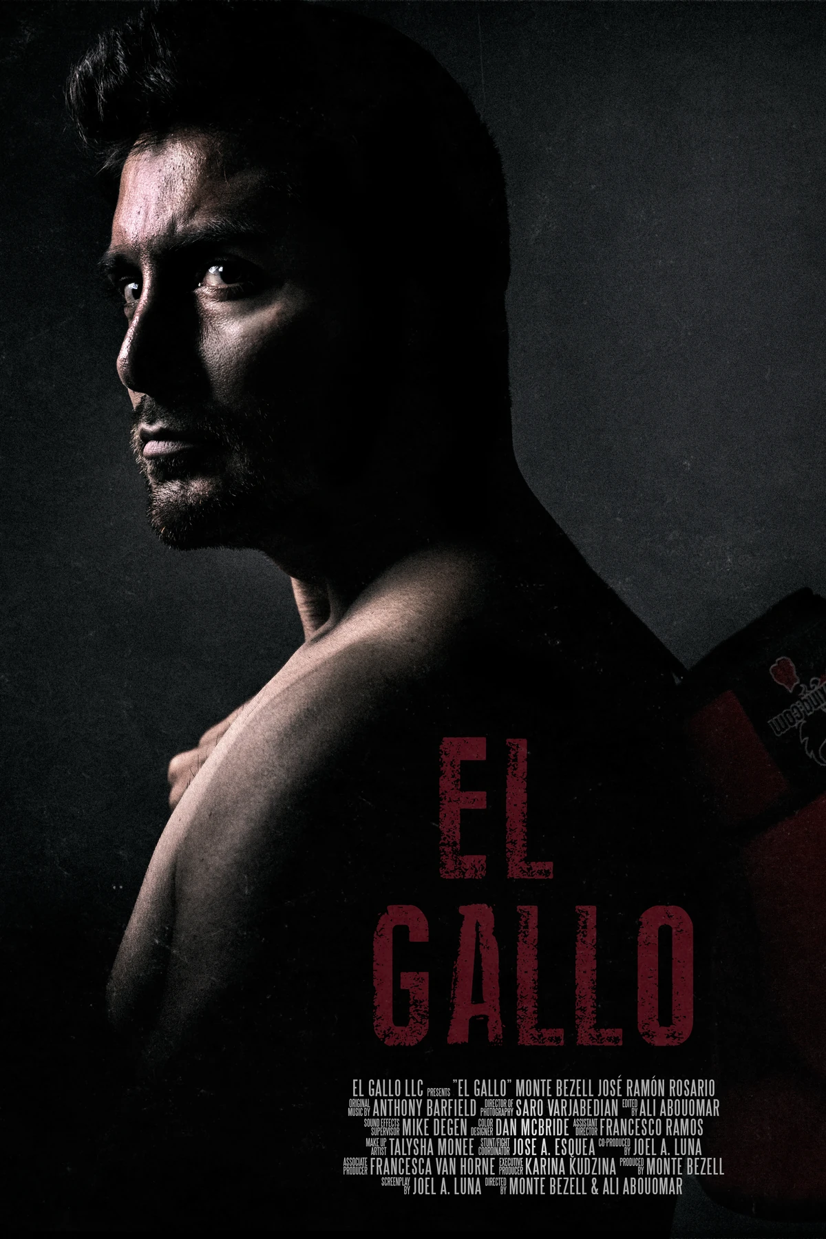 El Gallo (2018) Movie Poster