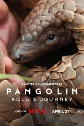 Pangolin Kulu’s Journey (2025) Movie Poster