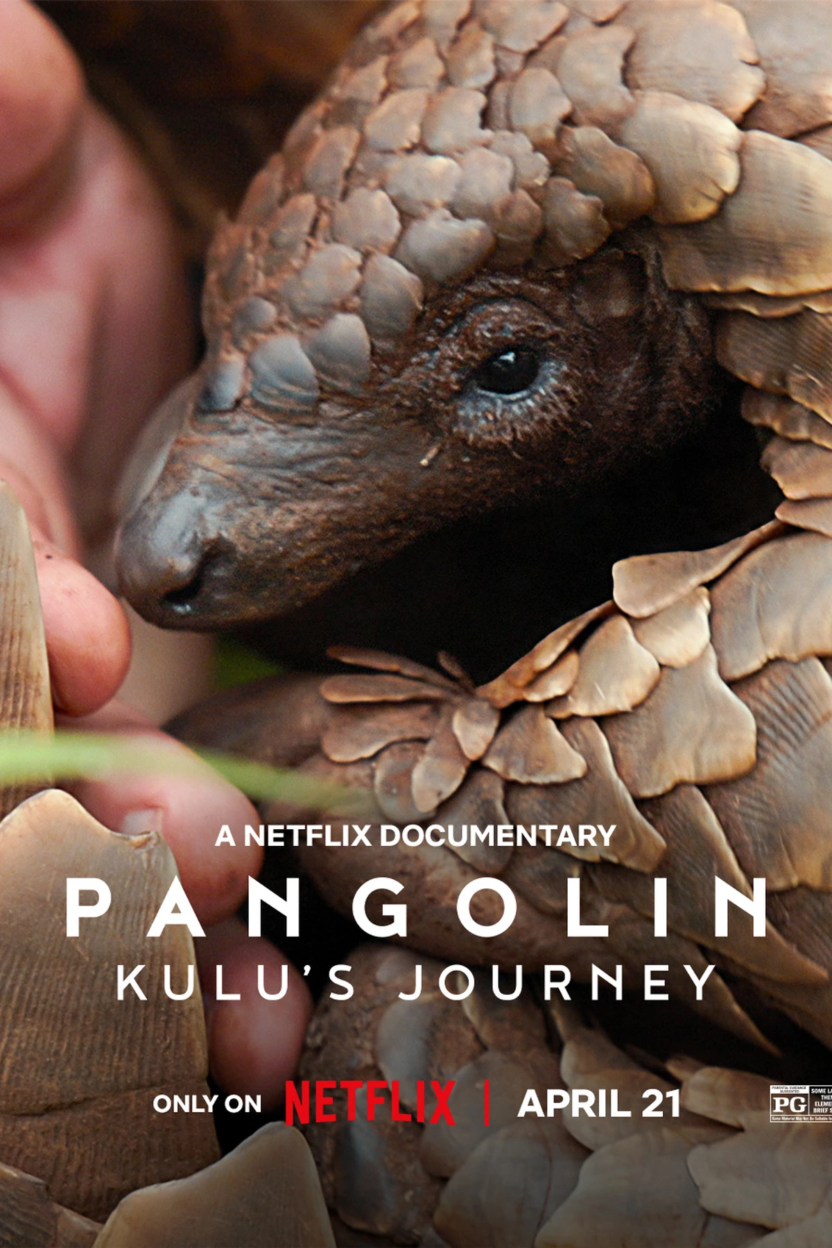 Pangolin Kulu's Journey (2025) Movie Poster