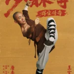 Shaolin sì zhi De bao chuanqí (2021) Movie Poster